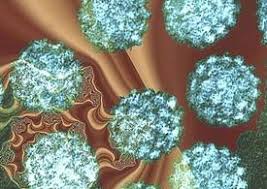 Virus Papillomy Cheloveka Vpch 31 Tipa Simptomy I Lechenie