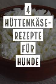 Rezepte Mit Huttenkase Fur Hunde Von Schonkost Bis Leckerli Kartoffelpuree Mit Huttenkase Als Schonkost Fur Hunde Kekse Rezept Huttenkase Rezepte Schonkost
