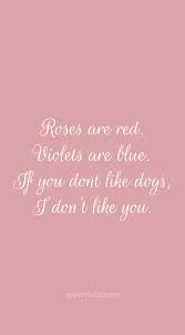 Roses Are Red Violets Are Blue If You Dont Like Dogs I Don T Like You Valentines Valentinesquote