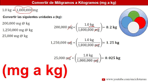 Miligramos A Kilogramos Mg A Kg Ejemplos Youtube Conversion De Unidades Ejercicios Resueltos Unidades De Masa