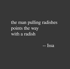The Man Pulling Radishes Points The Way With A Radish Issa Haiku Favpoem Haiku Poems Funny Haiku Haiku Poetry