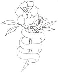 Tattoostencils Org Free Tattoo Designs New Rose Tattoo Rose Tattoos