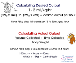 Calculating Desired Actual Urinary Output From Http Vetnurse Com Au Vettechlife Medical Studies Nursing Students Vet Tech