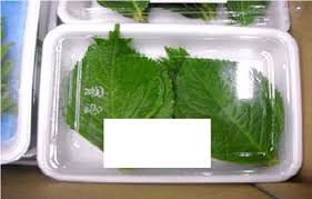 あじさいによる食中毒について とりネット 鳥取県公式サイト