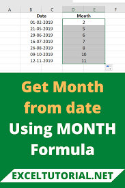Get Month From Date Using Month Formula In 2020 Excel Formula Microsoft Excel Tutorial Excel Tutorials