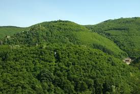 Moyenne Montagne La Montagne Noire Au Dessus De Mazamet Tarn C Crt Midi Pyrenees D Viet Tourisme Pyrenees Les Regions De France