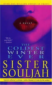 Google Image Result For Http Www Bookswim Com Images Books Large The Coldest The Coldest Winter Ever Urban Books Books