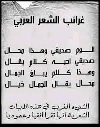 غرائب اللغة العربية عجائب وغرائب لغة الضاد صور جميلة