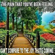 0cd8e12d7408e84871cbfec8629cf7f1 Jpg 403 403 Pixels Jehovah Witness Quotes Jehovah S Witnesses Jehovah