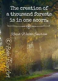 Ralph Waldo Emerson Quote The Creation Of A Thousand Oak Etsy Emerson Quotes Ralph Waldo Emerson Quotes Nature Quotes