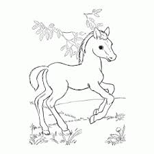 De beste kleurplaten vind je op nukleuren.nl! Kleurplaat Van Een Paard Printen Leuk Voor Kids