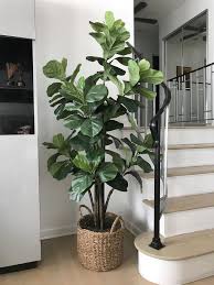 Fiddle Leaf Fig Tree With Basket Plant Decor Indoor Fake Plants Decor House Plants Decor