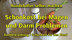 Hundefutter Selber Machen Schonkost Fur Den Hund Bei Magen Darmschonkost Youtube
