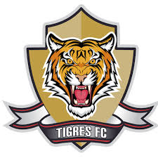 Tigres fc results and fixtures. Tigres News And Scores Espn