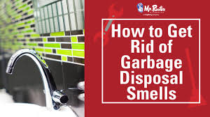 how to get rid of garbage disposal smells