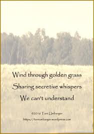 Whispers Haiku Poetry Haiku Poems Poetry Inspiration