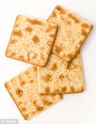 Speed eating can be extremely dangerous. Can Cats Eat Saltine Crackers