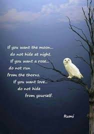Wish I D Learnt This 30 Years Ago Rumi Quotes Spiritual Love Quotes Rumi