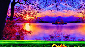 Best Phone Wallpapers Images Good Morning Beautiful Mobile Wallpapers Wallpaper Download Youtube Top view of beautiful hyacinths arranged.