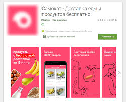 Samokat Dostavka Produktov Obzor Servisa Dostavki Produktov Na Dom Samokat