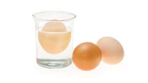 tell if an egg is fresh