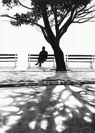 O Pensador Frases Profundas Home Facebook