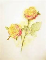 Watercolor Yellow Rose Tattoos Yahoo Image Search Results Watercolor Rose Yellow Rose Tattoos Rose Art