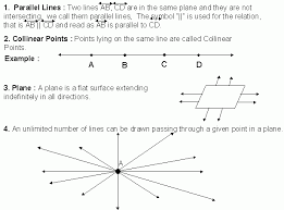 Basic Geometrical Concepts Parallel Lines Collinear Points And Plane Middle High School Algebra Geometry A High School Algebra School Algebra Plane Math