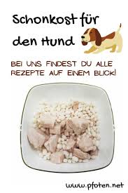 Schonkost Fur Hunde Die Richtigen Lebensmittel Und Rezepte Schonkost Hund Essen Rezepte