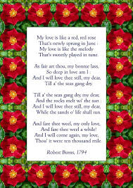 Robert Burns Rose Poems Red Roses Burns Day