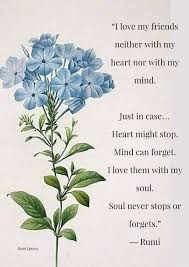 Rumi The Soul Never Stops Rumi Quotes Rumi Love Quotes Rumi Quotes Soul