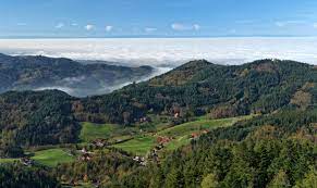 Black forest stretching from karlsruhe in the north, down to the swiss border in the south, this area of southwest germany has attracted vacationers for well over a century. Black Forest Wikipedia