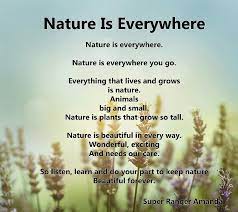 Nature Is Everywhere Short Poems About Nature Nature Poems For Kids Nature Poem