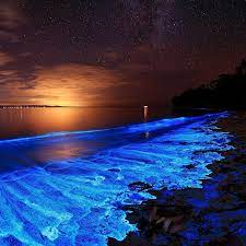 Are there any major construction works to be aware of? Knudge Factory Glowing Bioluminisant Beach In Maldives