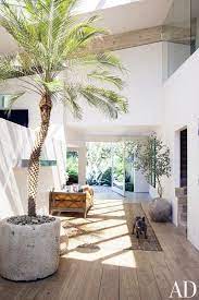 How To Decorate With Large Indoor Plants In Every Home Malibu Homes Beach House Decor House Design