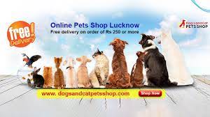How often does a recurring delivery come? Online Dogs And Cat Pets Shop Home Facebook