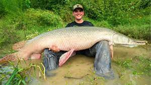 Final day of the trip was a success! Monster Alligator Gar Fishing In Texas Epic Youtube