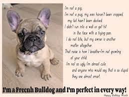 Beautiful Frenchie Poem Bulldog Pugs Cute Photos