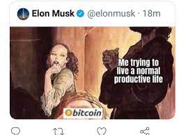 The news follows a twitter exchange between the two ceos, in which saylor offered to share his bitcoin playbook. Elon Musk S Bitcoin Tweet Bitcoinaus