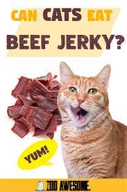 So, can cats eat applesauce? Can Cats Eat Beef Jerky Beef Jerky Eat Beef Cat Nutrition