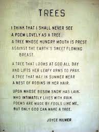 Calico Nature Quotes Tree Poem Poems