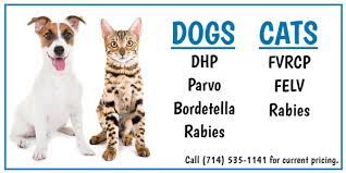 Get your pet's prescription without leaving the comfort of your home. La Palma Veterinary Hospital Vet In Anaheim Ca