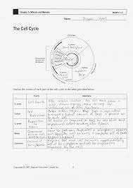 Cells Alive Cell Cycle Worksheet Promotiontablecovers
