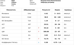 Rasshifrovka Analizov Poleznye Stati Sovety Labrador Ru Sobaki Retrivery