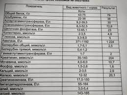 Povyshennye Pochechnye Pokazateli U Koshki Obshie Voprosy Zdorovya Terapiya Forum Animal By