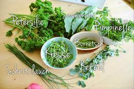 7 Krauter Frankfurter Grie Soss Mutter Sohnchen Grune Sosse Rezept Grune Sosse Krauter Grune Sosse