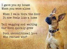 Unconditional Love Dog Poems Rescue Dog Quotes Dog Quotes
