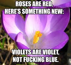 Just A Little Poetry For You Guys Funny Poems Roses Are Red Funny Funny Pictures