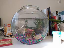 So what size do they need? I M Taking Care Of A Friend S Betta Fish For A Few Days Is This Tank Too Small I M Not Too Experienced With Fish Shittyaquariums