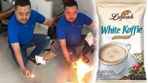 Viral Video Bubuk Luwak White Koffie Bisa Terbakar Dan Dituding Kandung Mesiu Bpom Beri Pernyataan Youtube